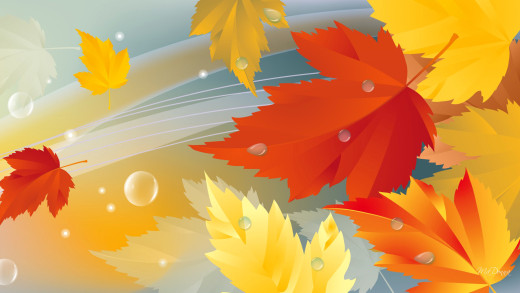 1095891 (a): :1920x1080